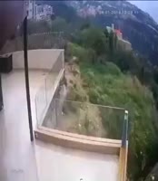 360x412
