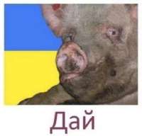 352x338