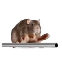 720x720
