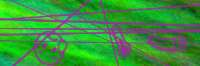300x100