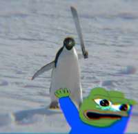 736x721