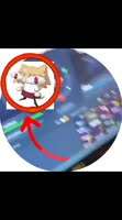 360x644