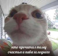 828x810