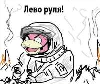 397x334