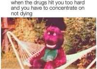 600x426