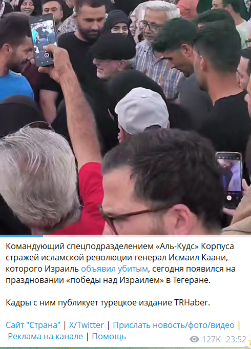 490x681