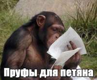 555x460