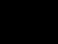 384x288