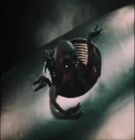 356x368