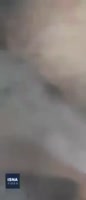 360x830