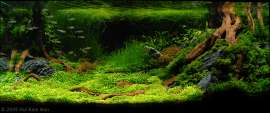 1090x458