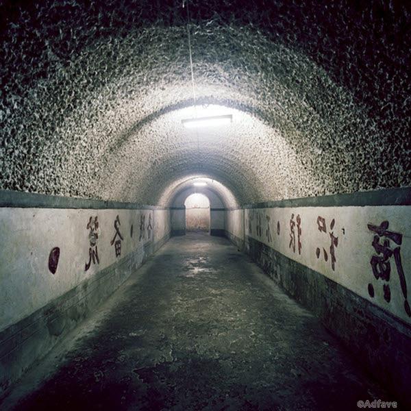 600x600
