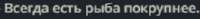 222x22
