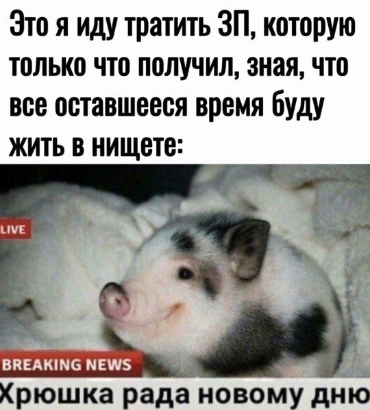 540x599