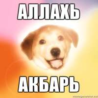 500x500