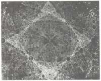 300x241