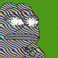 481x481