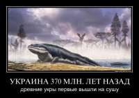 800x569