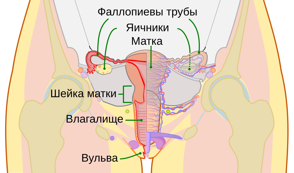 1024x603