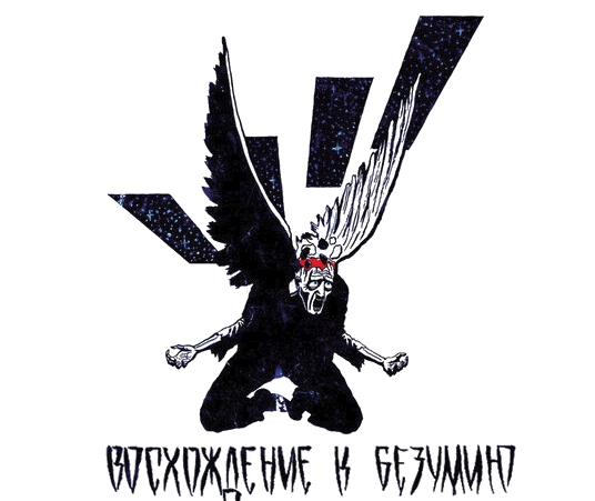 536x451