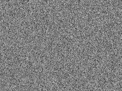 500x375