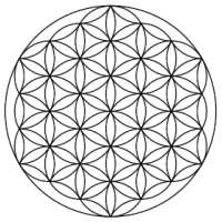 278x278