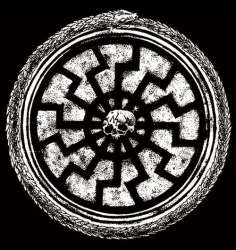 500x528