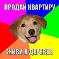 407x405