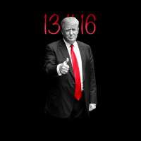 1311x1311
