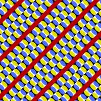 536x536
