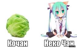 604x382
