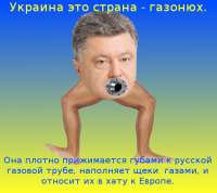 520x465