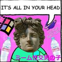 323x321