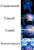 644x955
