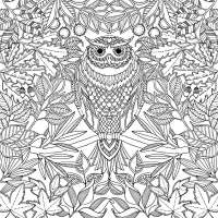 1000x1000