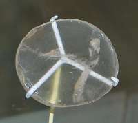 400x356