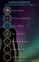 736x1162