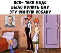 800x688