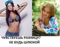 520x408