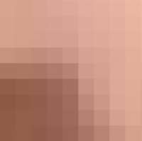 508x506
