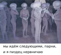 500x456