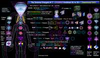 1263x737