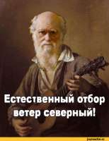 400x518