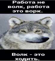 720x783