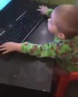 288x360