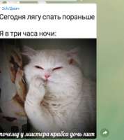 424x476