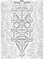 2040x2689