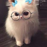 900x900