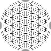 800x800