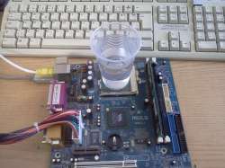 650x488